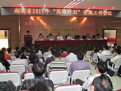 点击将在新窗口查看全图