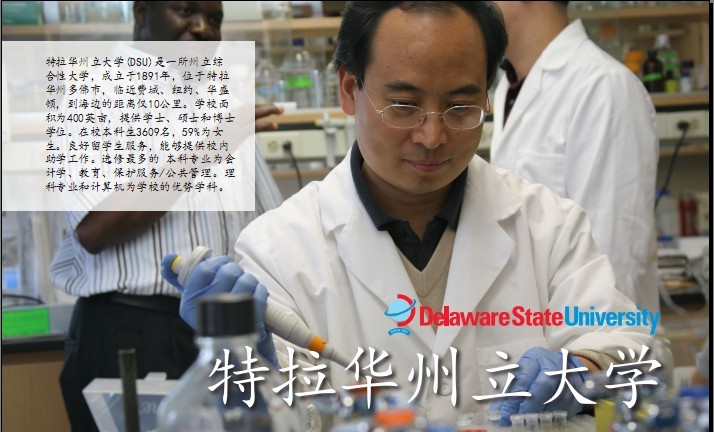 点击将在新窗口查看全图